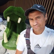  ,   , 41 ,   ,   