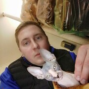  ,   , 29 ,  