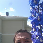 ���������� ������, ���� ������� �����, 50 ���, ������������ ��� ������, ����� � ���������, c�������� ���������