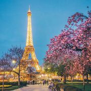 ���������� �����, ���� ����� ����, 23 ����, ������������ ��� ������, ����� � ���������