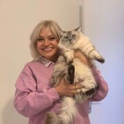 ���������� �������, ���� ������� ����������, 51 ���, ������������ ��� ������, ����� � ���������