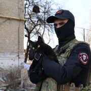 ���������� ��������, ���� ������� ������, 27 ���, ������������ ��� ������, ����� � ���������, ���������