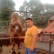  ,   Abonchik, 35 ,   