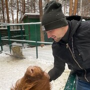 ���������� ������������, ���� ������� �������, 30 ���, ������������ ��� ������, ����� � ���������