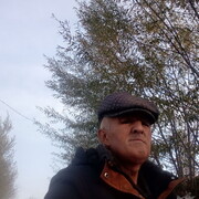 ���������� ����������, ���� ������� ��������, 51 ���, ������������ ��� ����� � ���������, c�������� ���������, ���������