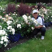 ���������� ����, ���� ������� ����, 48 ���, ������������ ��� ������, ����� � ���������, c�������� ���������