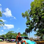 ���������� ������, ���� ������� Lesy, 42 ����, ������������ ��� ������, ����� � ���������, c�������� ���������