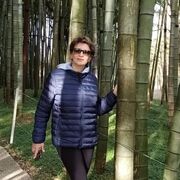 ���������� ��������, ���� ������� �������, 59 ���, ������������ ��� c�������� ���������, ���������