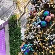 ���������� ��������, ���� ������� ������, 64 ����, ������������ ��� ������, ����� � ���������