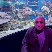  Zeven,  , 45