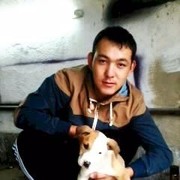 ���������� ������, ���� ������� 7726221181, 34 ����, ������������ ��� ������, ����� � ���������, c�������� ���������