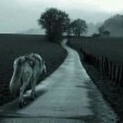  -,   , 35 ,   ,   , c 