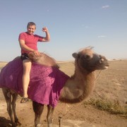 ���������� �������, ������� ����, 46