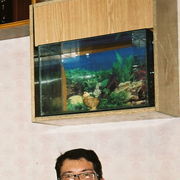 ���������� �������, ���� ������� Shm1t, 60 ���, ������������ 