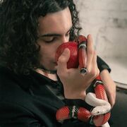  --,   , 29 ,   ,   