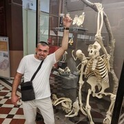  ,   , 43 ,   ,   