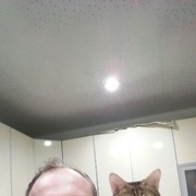  ,   , 44 ,  