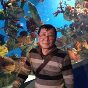  ,  Ruslan Park, 71