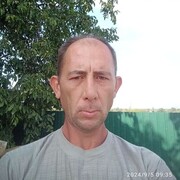   ,  , 41