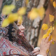 ���������� ������, ���� ������� OLLI, 30 ���, ������������ ��� ������, ����� � ���������