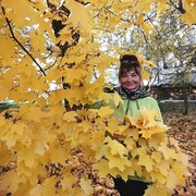 ���������� ���������� �����, ���� ������� �������, 56 ���, ������������ ��� c�������� ���������, ���������