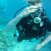 ���������� ������, ���� ������� �����, 36 ���, ������������ ��� ������, ����� � ���������