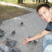 ���������� ������, ���� ������� �����, 38 ���, ������������ ��� ����� � ���������, c�������� ���������