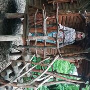  ,   , 51 ,     , c 