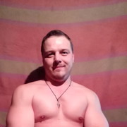 ���������� �����, ���� ������� Irbis, 44 ����, ������������ ��� ������