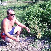 ���������� ������, ���� ������� �����, 53 ����, ������������ ��� ������, ����� � ���������, c�������� ���������