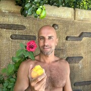  ,   Di, 41 ,   ,   
