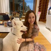 ���������� ������, ���� ������� �����, 36 ���, ������������ ��� ����� � ���������, c�������� ���������, ���������