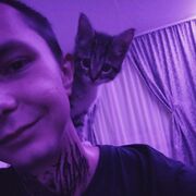 ���������� ����, ���� ����� ����, 23 ����, ������������ ��� ������, ����� � ���������, c�������� ���������, ���������