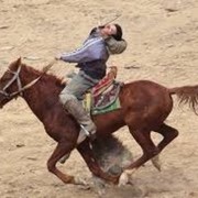 ���������� �������, ���� ������� ���420, 57 ���, ������������ ��� ������