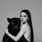 ���������� �������, ���������