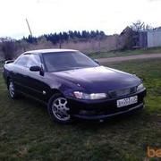 ���������� ����������, ���� ������� ����, 37 ���, ������������ ��� ������