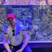 ���������� ����������, ������� ��������, 44