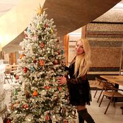 ���������� �����-���������, ���� ������� ��������, 42 ����, ������������ ��� ����� � ���������, c�������� ���������