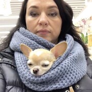  ,   , 49 ,   c 