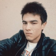  -,   Wolf, 25 ,   ,   , c , 