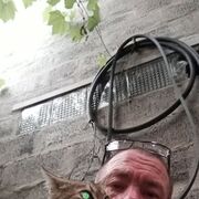 ���������� ������, ���� ������� ������, 50 ���, ������������ ��� ������, ����� � ���������