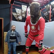  ,   , 31 ,   