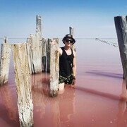 ���������� ������, ���� ����� ���������, 23 ����, ������������ ��� ������, ����� � ���������, ���������