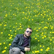 ���������� ������, ���� ������� ����, 37 ���, ������������ ��� ����� � ���������, c�������� ���������