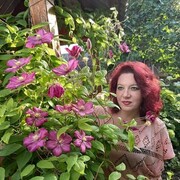  ,   , 51 ,   ,   