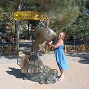 ���������� �����������, ���� ������� �������, 72 ����, ������������ ��� ����� � ���������