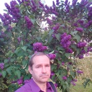  ,   , 61 ,   ,   , c 