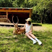 ���������� ������, ���������