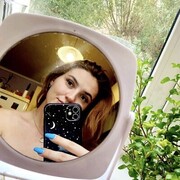 ���������� ���������, ���� ������� ���������, 27 ���, ������������ ��� ������, ����� � ���������, c�������� ���������, ���������