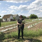 ���������� ������, ���� ������� ����, 57 ���, ������������ ��� ������, c�������� ���������